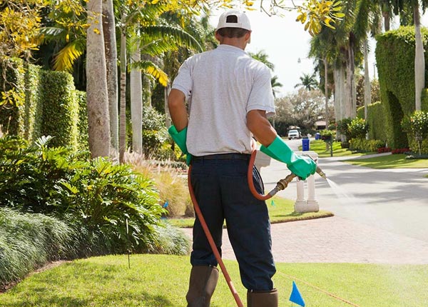 About Old Westbury NY Pest Control